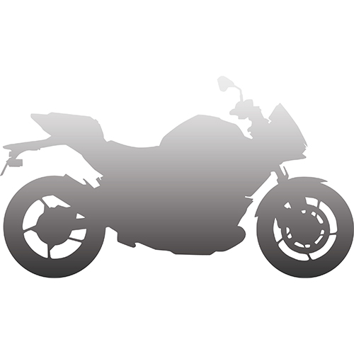 KAWASAKIHYBRID.png